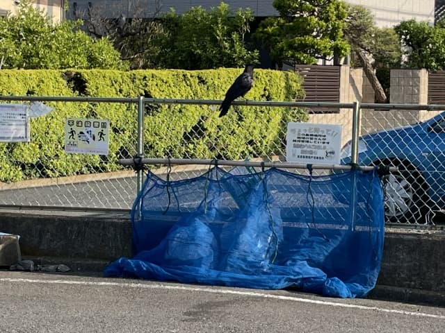 カラス除け02