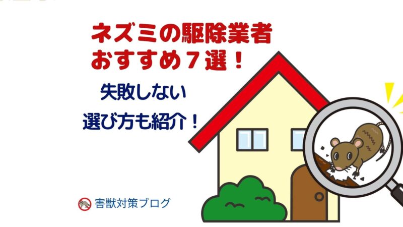 ネズミの駆除業者おすすめランキングTOP7