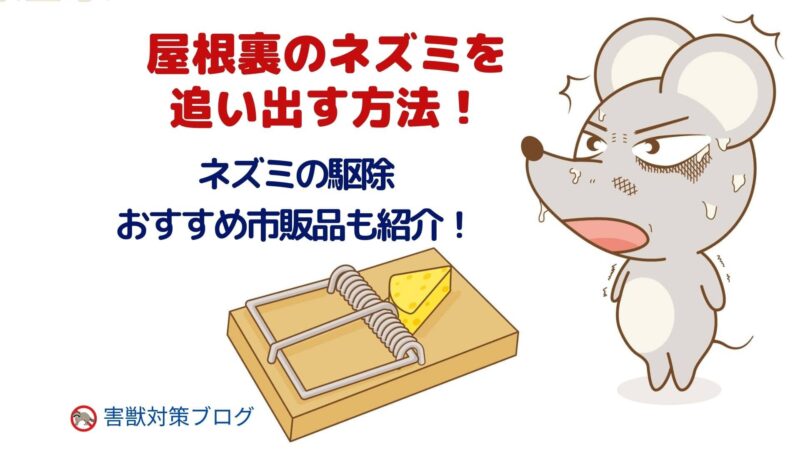 屋根裏のネズミを追い出す方法3