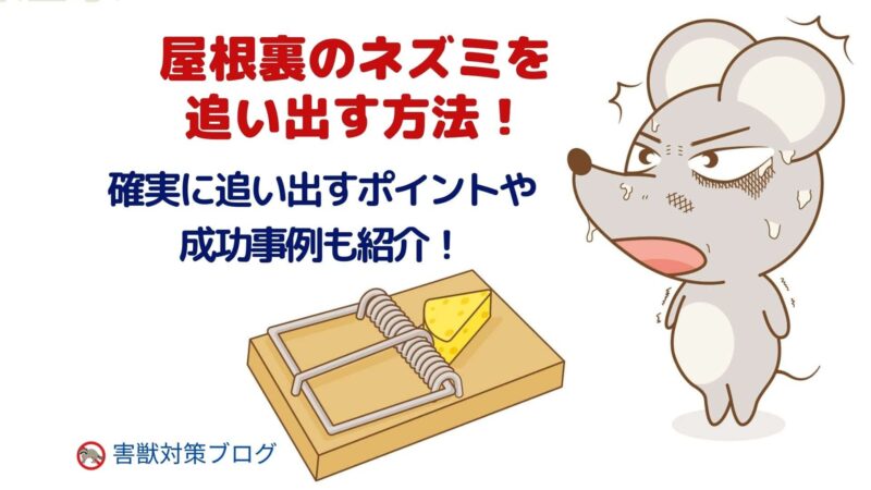 屋根裏のネズミを追い出す方法！ポイントや成功事例も紹介！