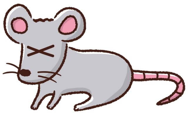 ねずみ01
