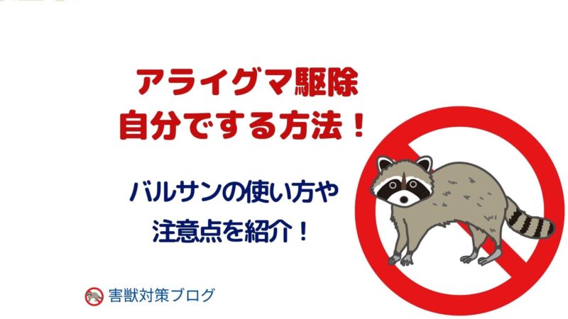 アライグマの駆除を自分でする方法！