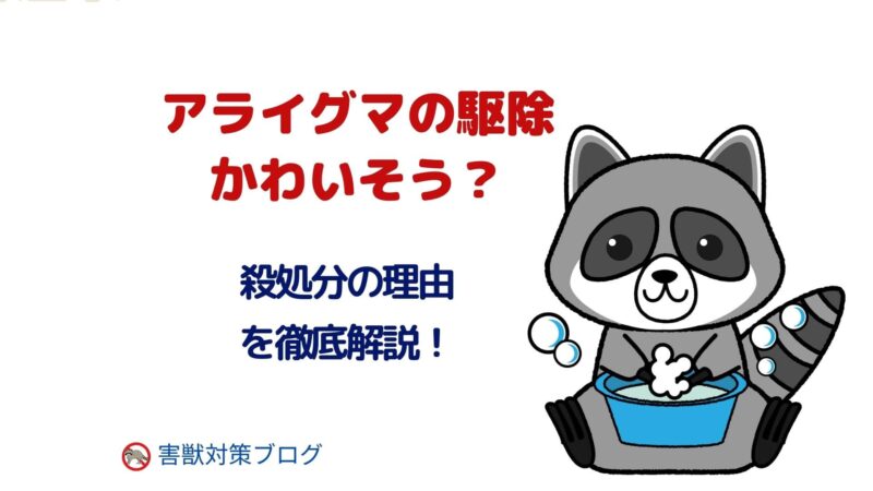 アライグマ駆除ってかわいそう？
