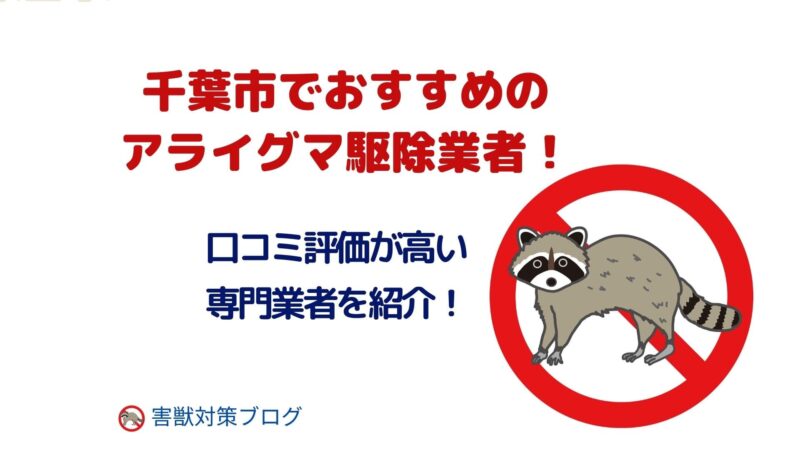 千葉市でおすすめのアライグマ駆除業者