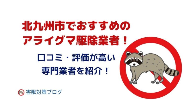 北九州市でおすすめのアライグマ駆除業者