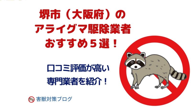 堺市（大阪府）のアライグマ駆除業者のおすすめ5選！