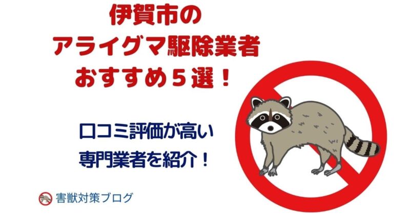 伊賀市のアライグマ駆除業者でおすすめ５社を紹介！