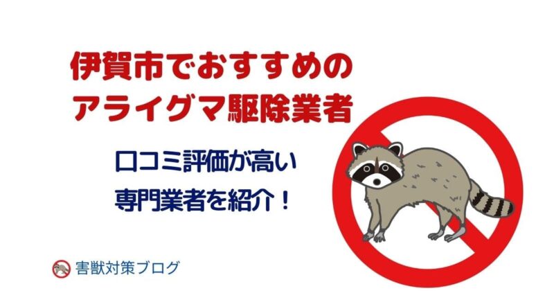 伊賀市でおススメのアライグマ駆除業者