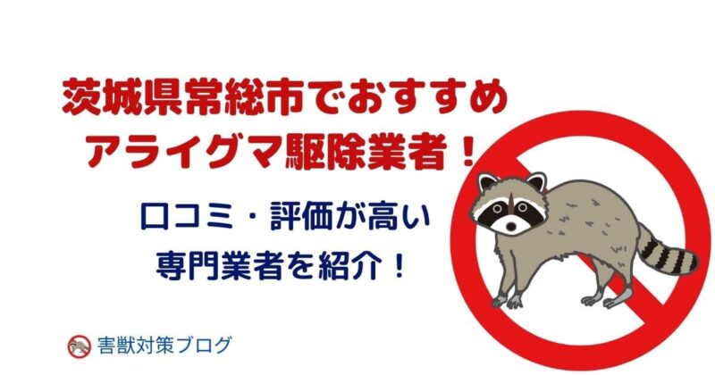 茨城県常総市でおすすめのアライグマ駆除業者！