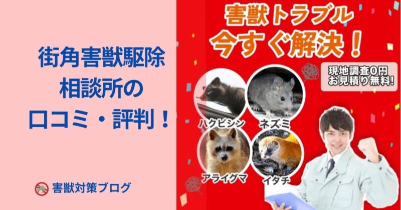 街角害獣駆除相談所の口コミ・評判！