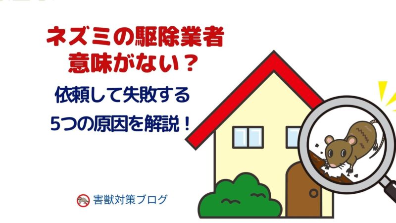 ネズミの駆除業者は意味がない？