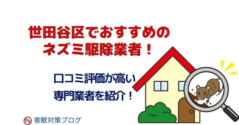世田谷区のネズミ駆除業者のおすすめ！