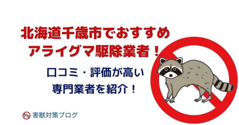 千歳市でおすすめのアライグマ駆除業者3選！