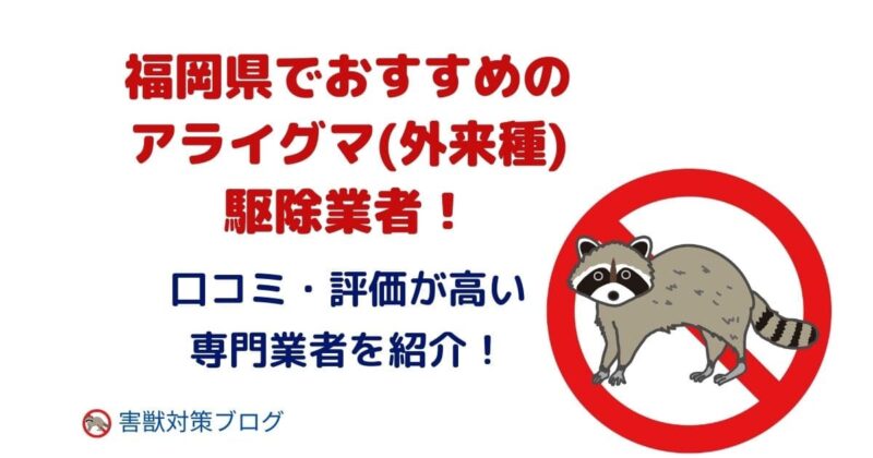 福岡県でおすすめのアライグマ(外来種)駆除業者