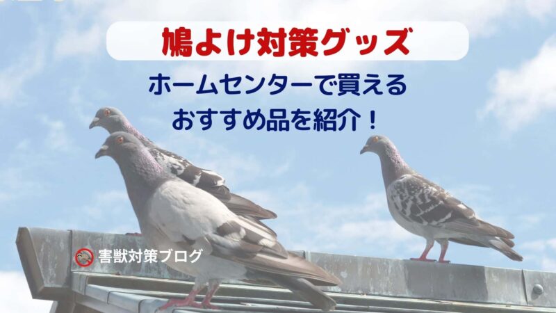 鳩よけ対策グッズの紹介！